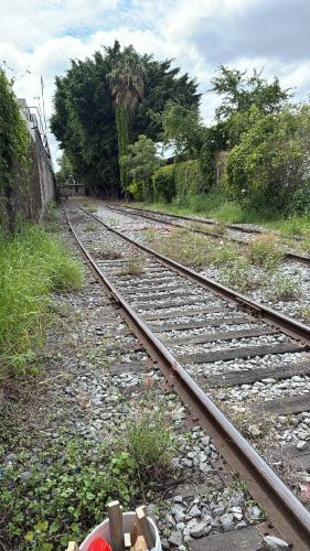 Perfiles y secciones transversales