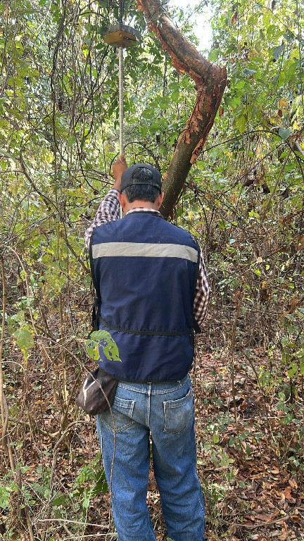 Brigada topográfica trabajando en levantamiento